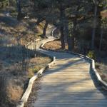 Cambria_0072 (November 02, 2013)